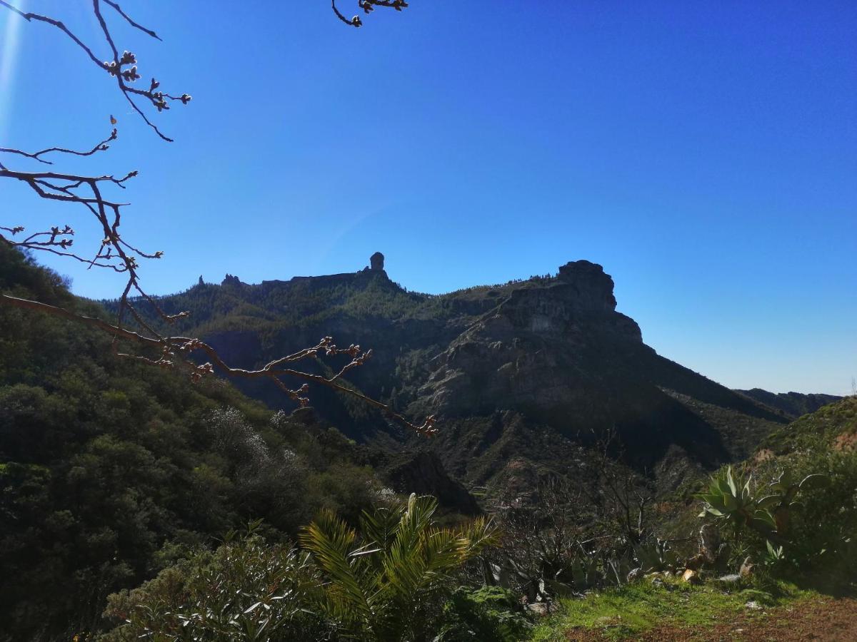 Casa Los Manantiales Tejeda  Εξωτερικό φωτογραφία